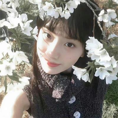 野兽们的熟睡